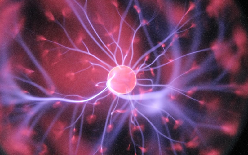 STEM